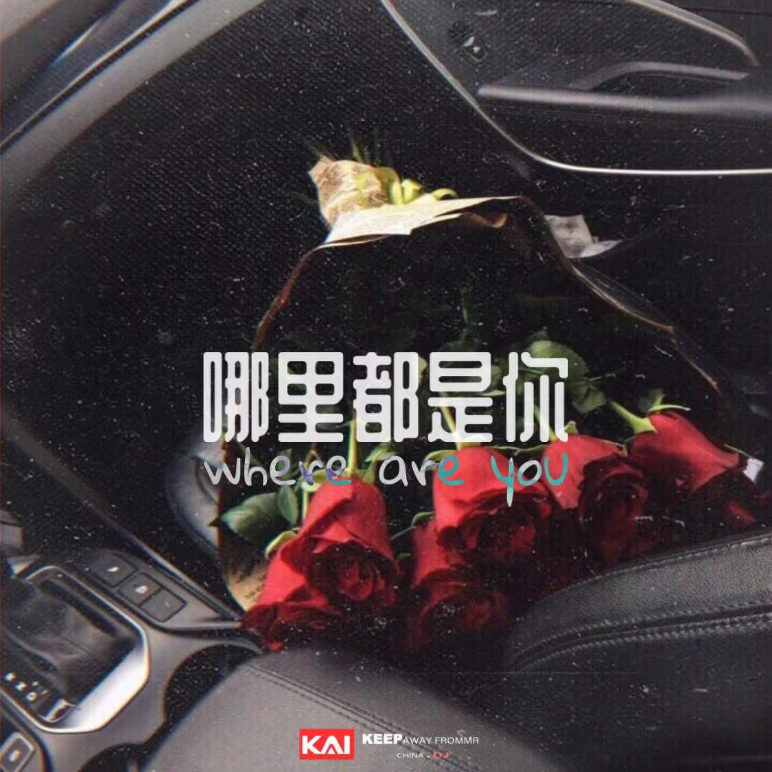 哪里都是你