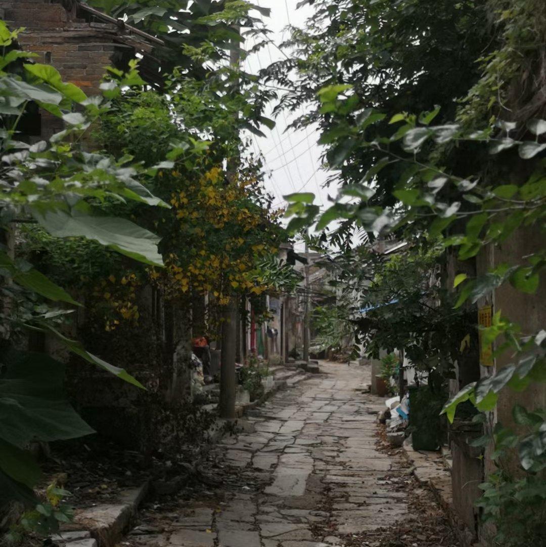 萨瑟兰声乐艺术鉴赏