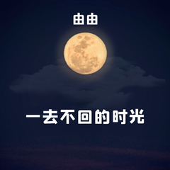 一去不回 (伴奏)