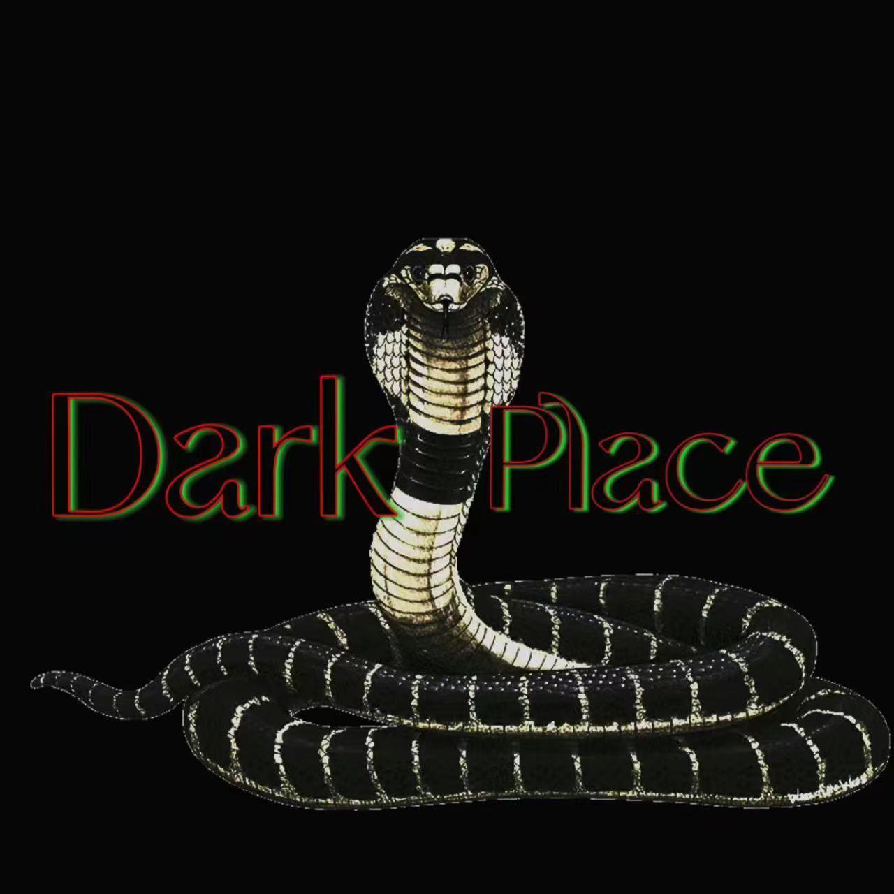 DARK PLACE