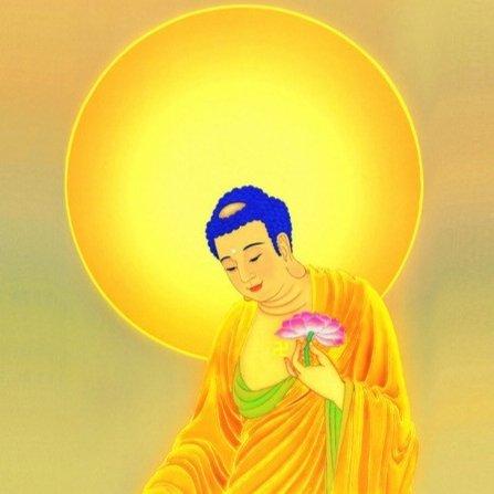 南无阿弥陀佛圣号 | 在线播放 | 网易云音乐