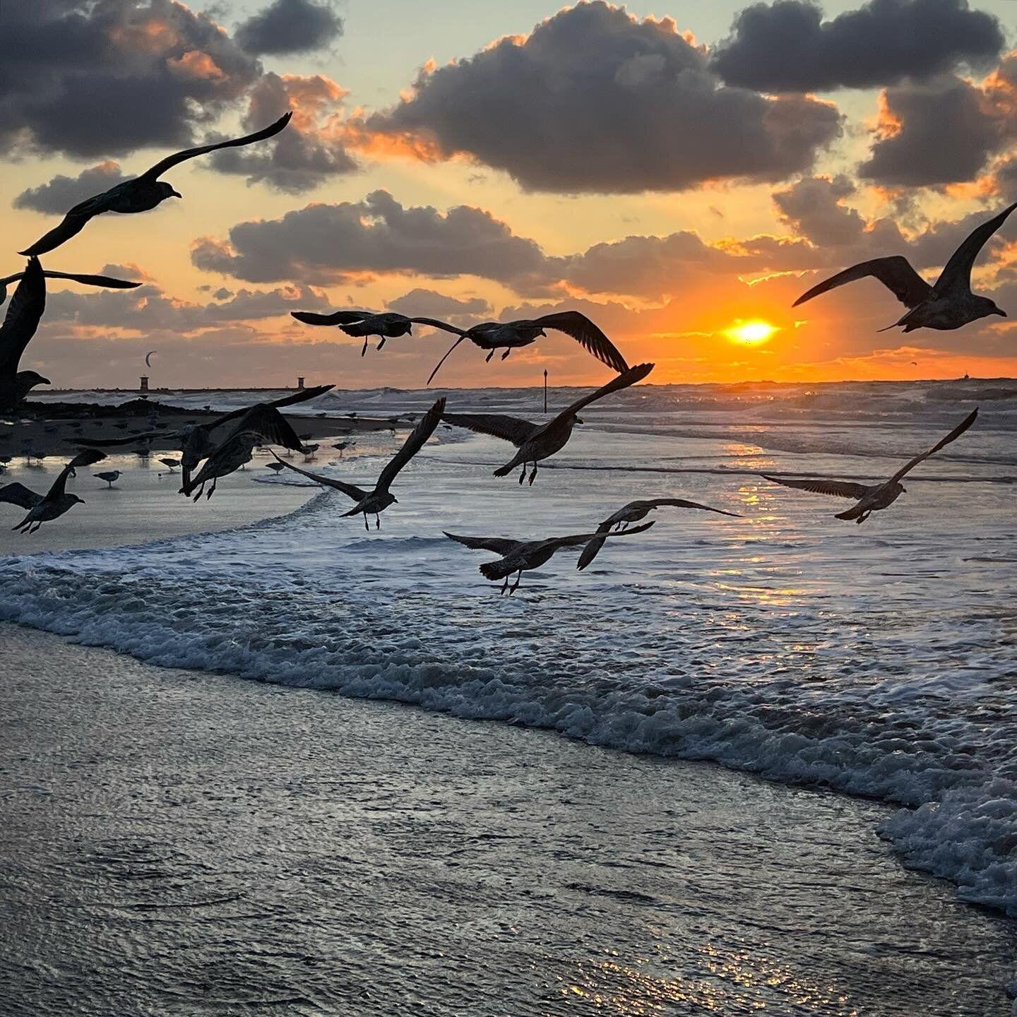 你是别人的银杏