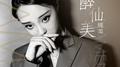 醉仙美（DJ名龙）专辑