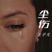 尘伤-王子月