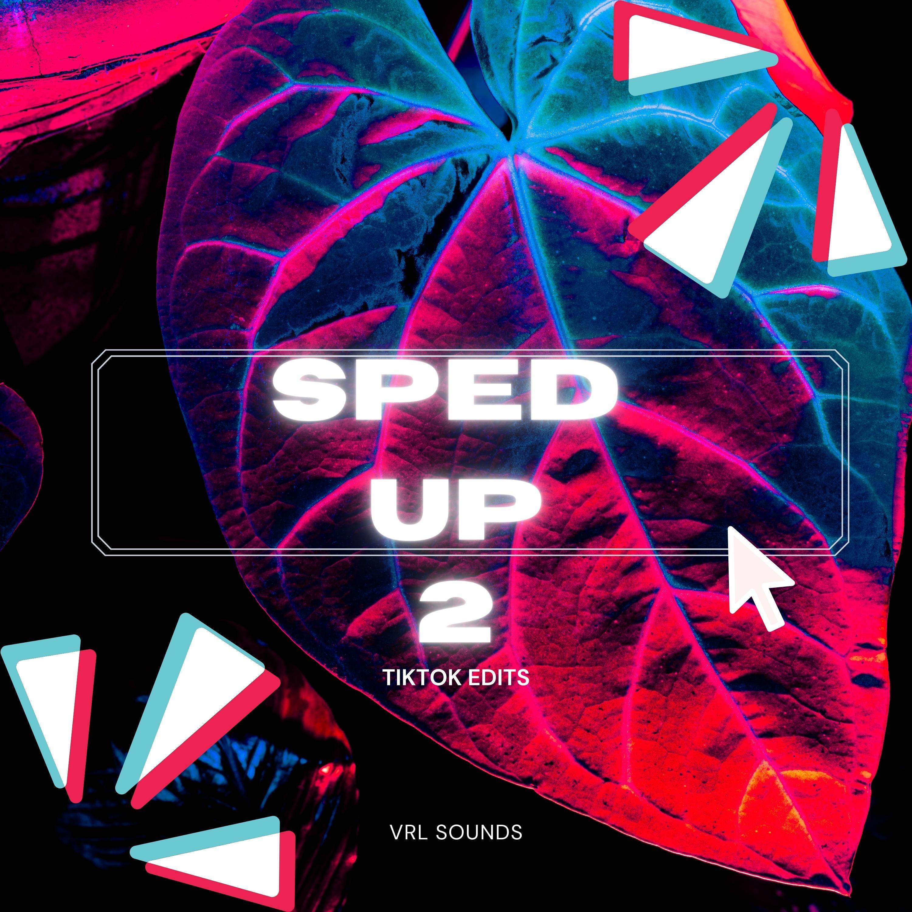 Sped Up TikToks 2 (Remix)
