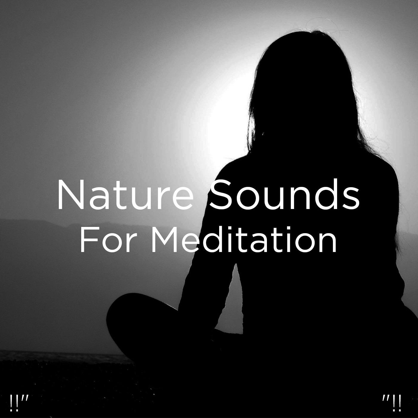 !!" Nature Sounds For Meditation "!!