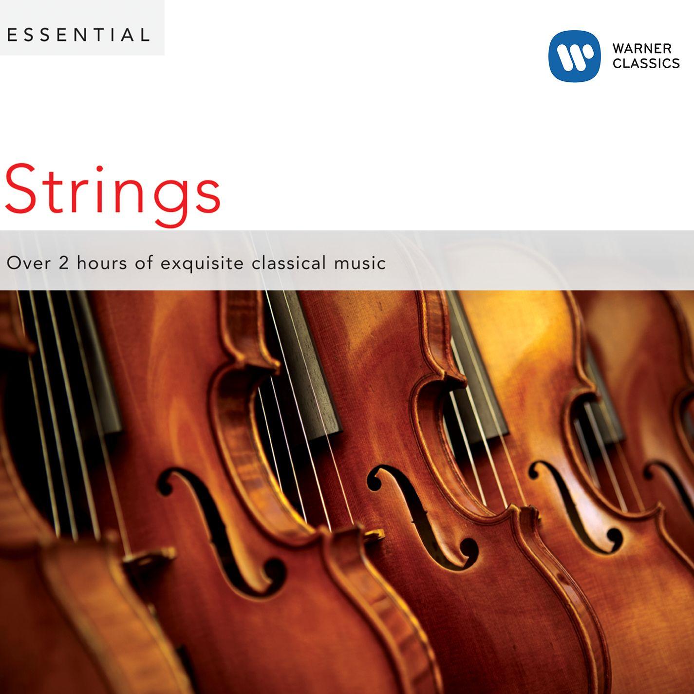 serenade for strings, op. 48:i. pezzo in forma di sonatina