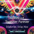 Nicco - Together Forever (DjHope小春 Mix)