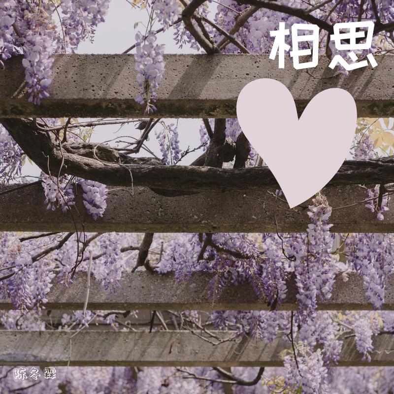 相思