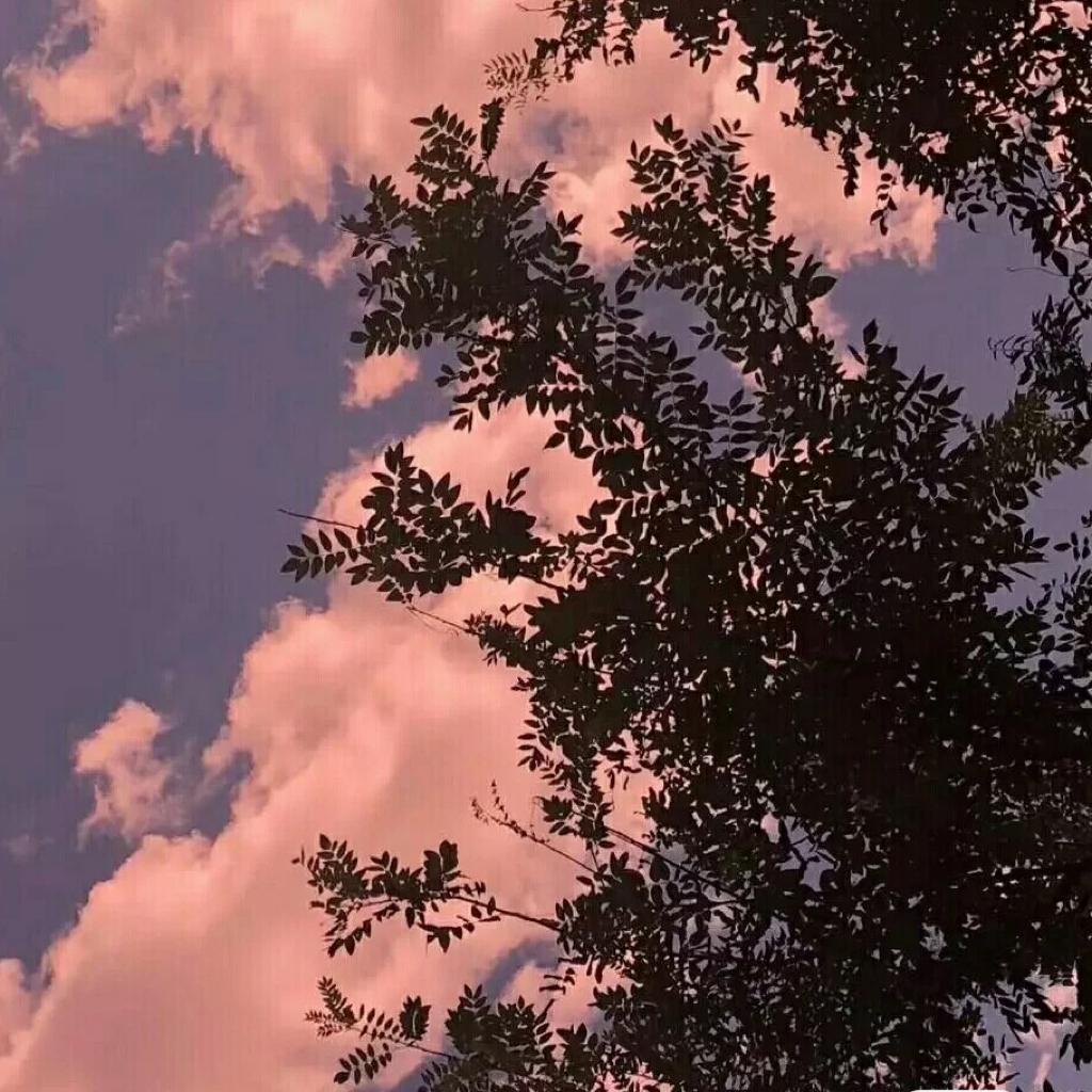 总有天会等到好天气