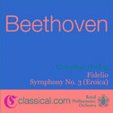 Ludwig van Beethoven, Fidelio, Op. 72C专辑