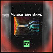 Magnetism GANG