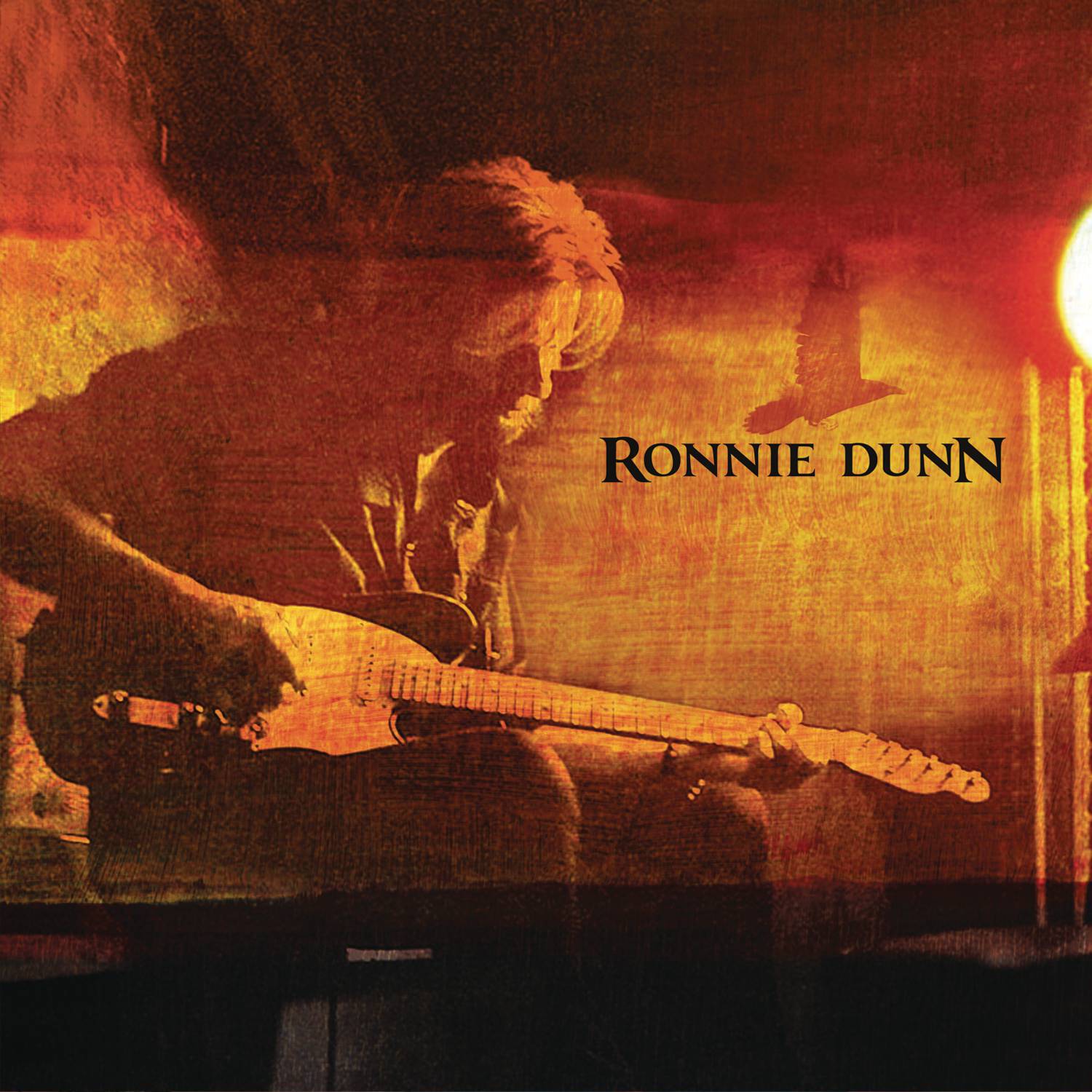 Ronnie Dunn专辑