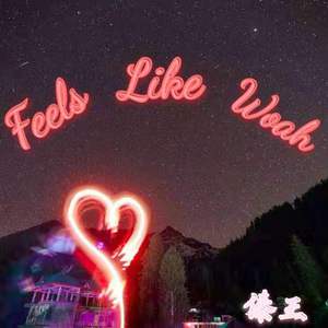 Feels Like Woah - Wes Carr (HT karaoke) 带和声伴奏 （升6半音）