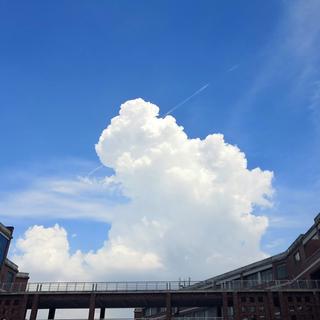 『纯音乐』旋律寓予情，乐符寄以心