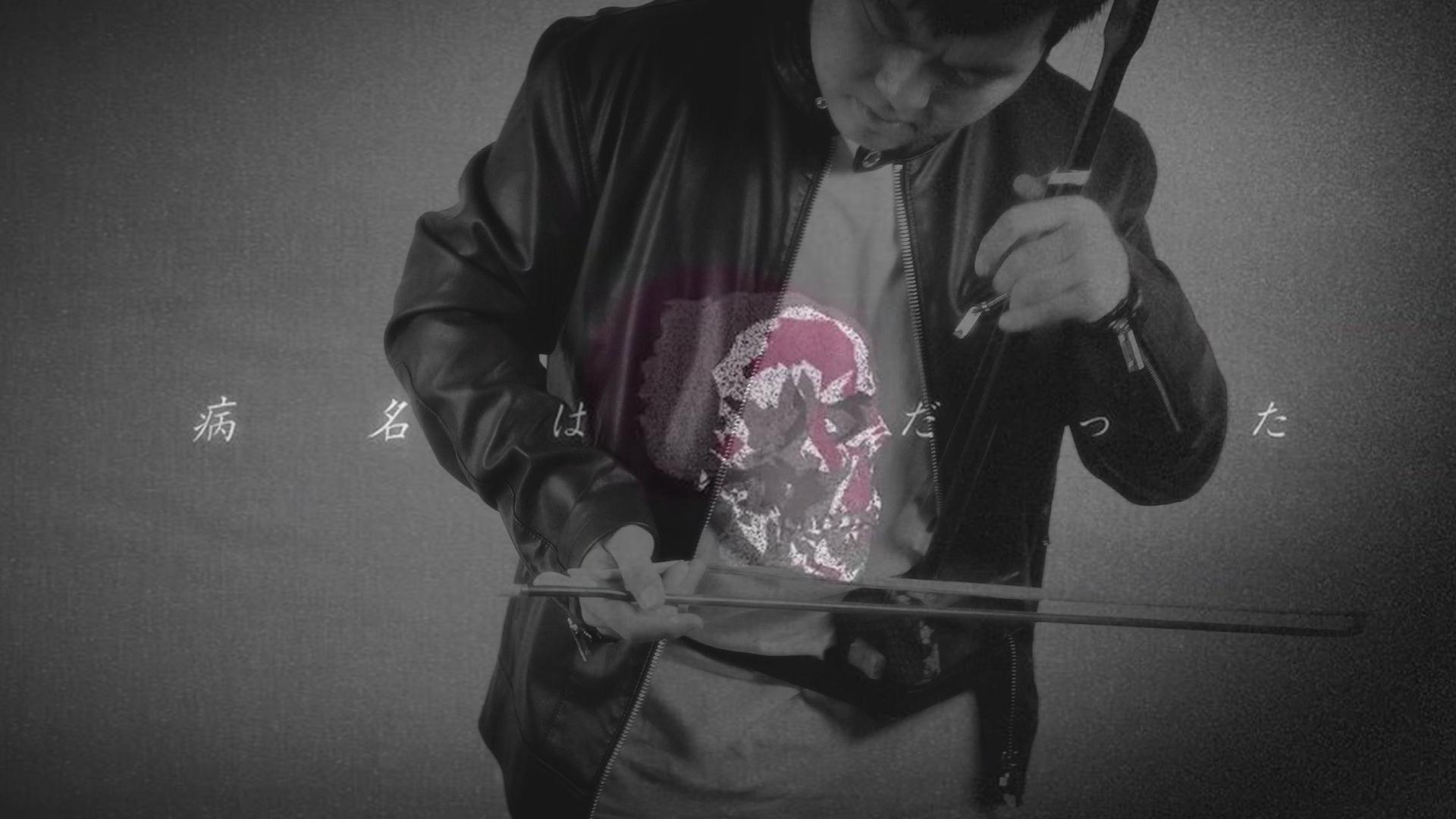 病名为爱 二胡版