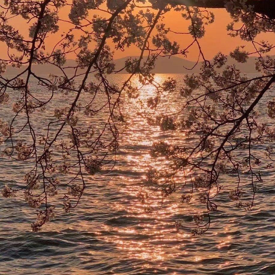 冬天不解相思情