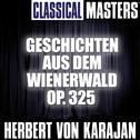 Classical Masters: Geschichten Aus Dem Wienerwald Op. 325专辑