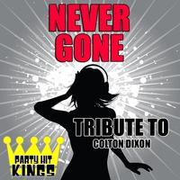 Never Gone - Colton Dixon (unofficial Instrumental)