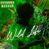 Stunner Bizzle - WilD Life Freestyle