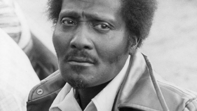 Albert Collins