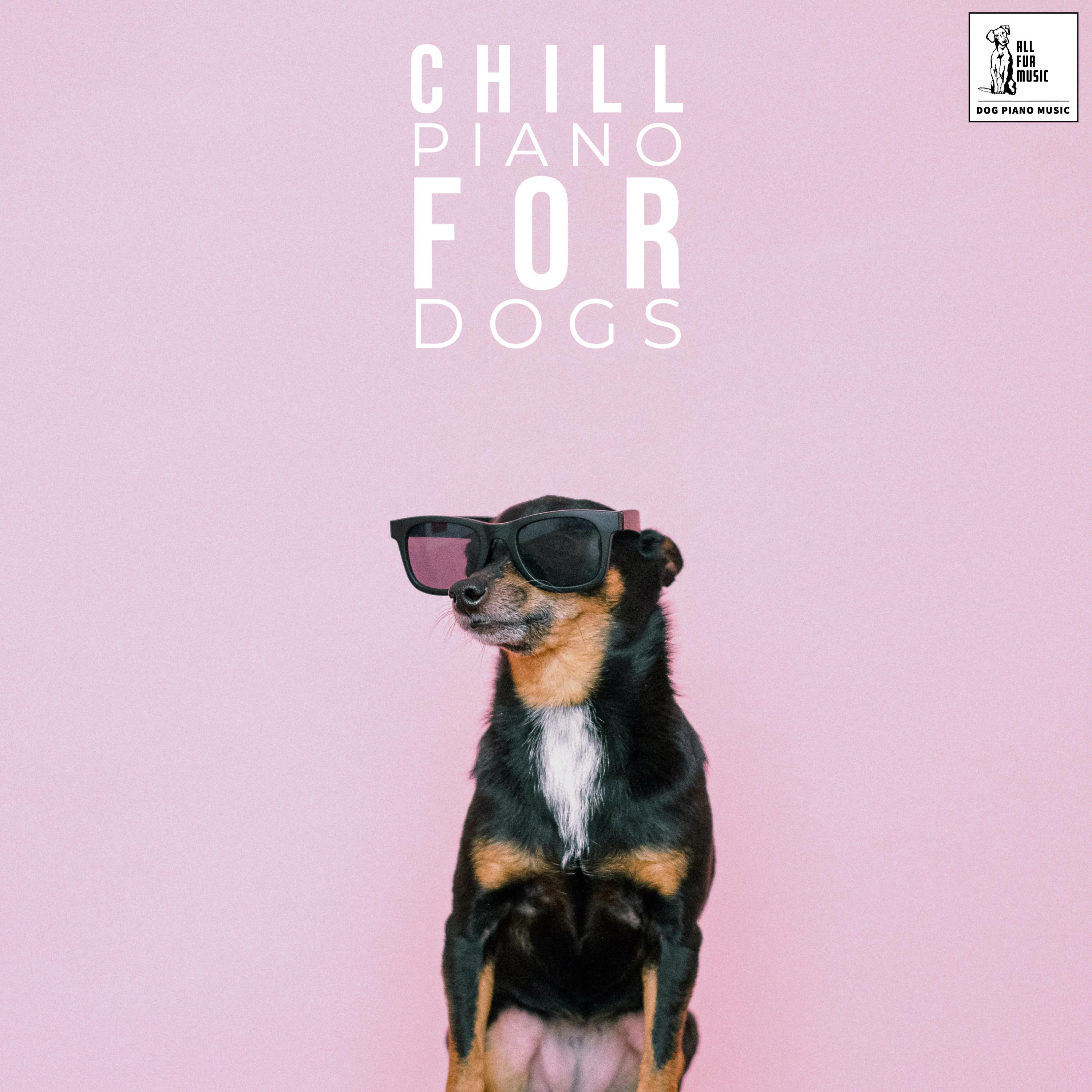 Chill Piano For Dogs