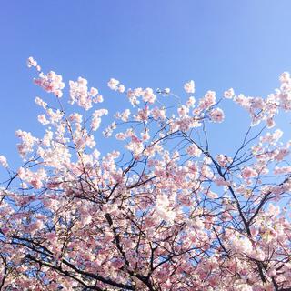 随机千首民谣