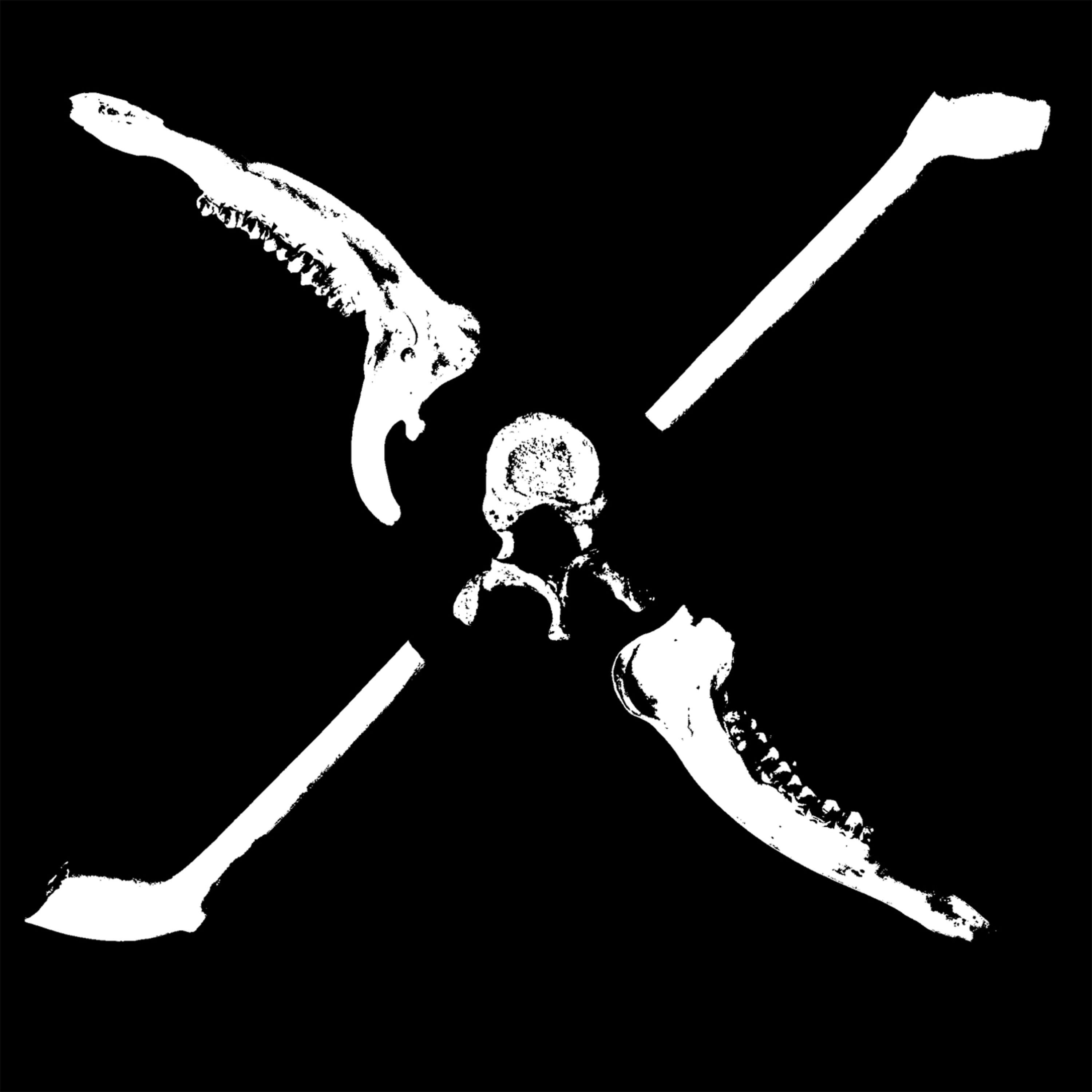 Bones Ep