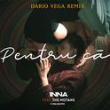 Pentru Ca (Dario Vega Remix)专辑