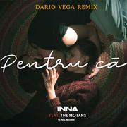 Pentru Ca (Dario Vega Remix)