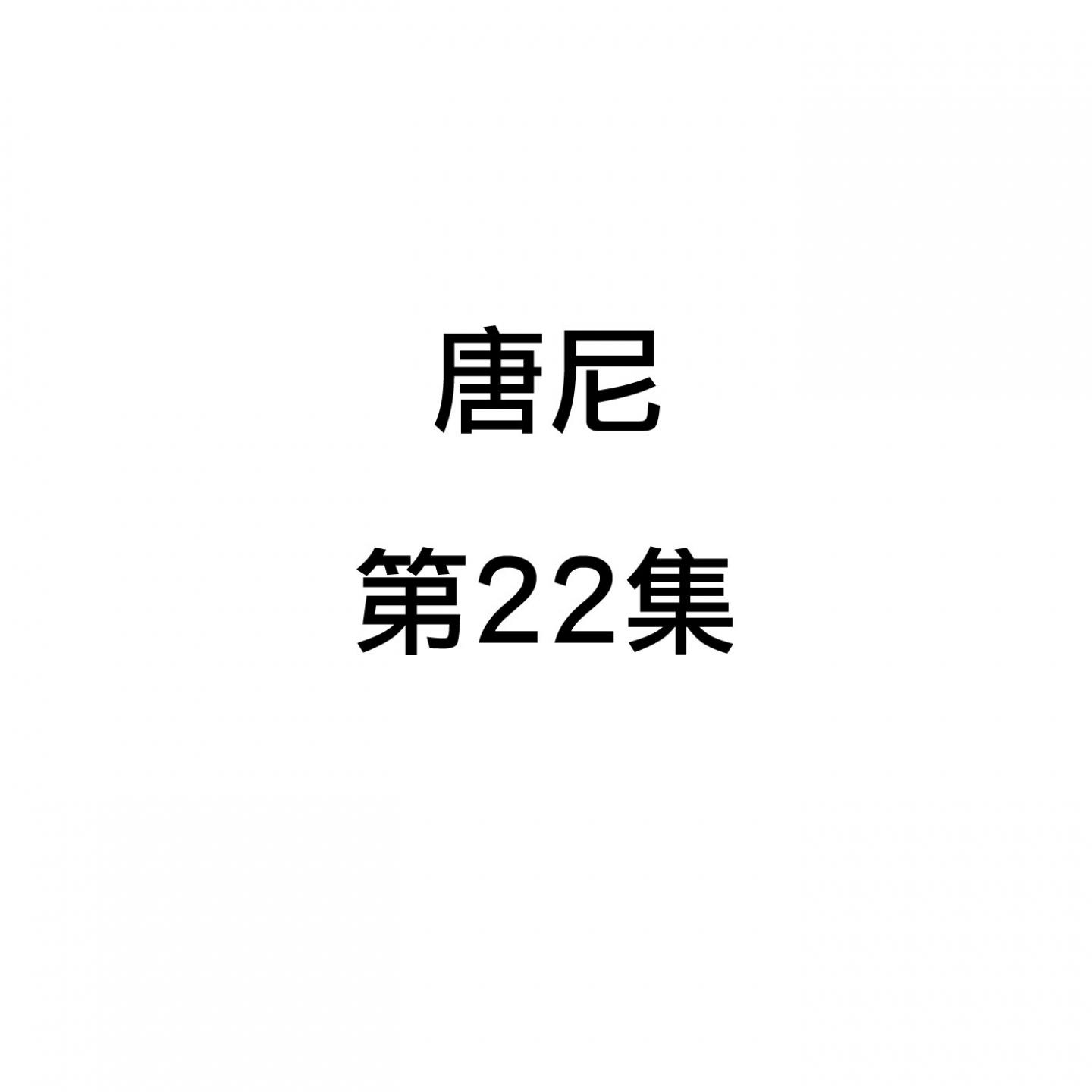 唐尼, 第22集专辑