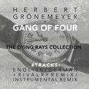 The Dying Rays (feat. Herbert Gronemeyer)专辑