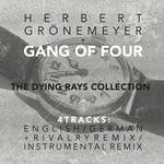 The Dying Rays (feat. Herbert Gronemeyer)专辑