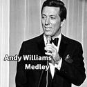Andy Williams Medley 1: Love Story / A Time for Us / Speak Softly Love / It's the Most Wonderful Tim专辑