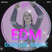 빛이 나 (DJ38SUN Remix)
