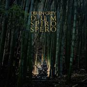 Dum Spiro Spero