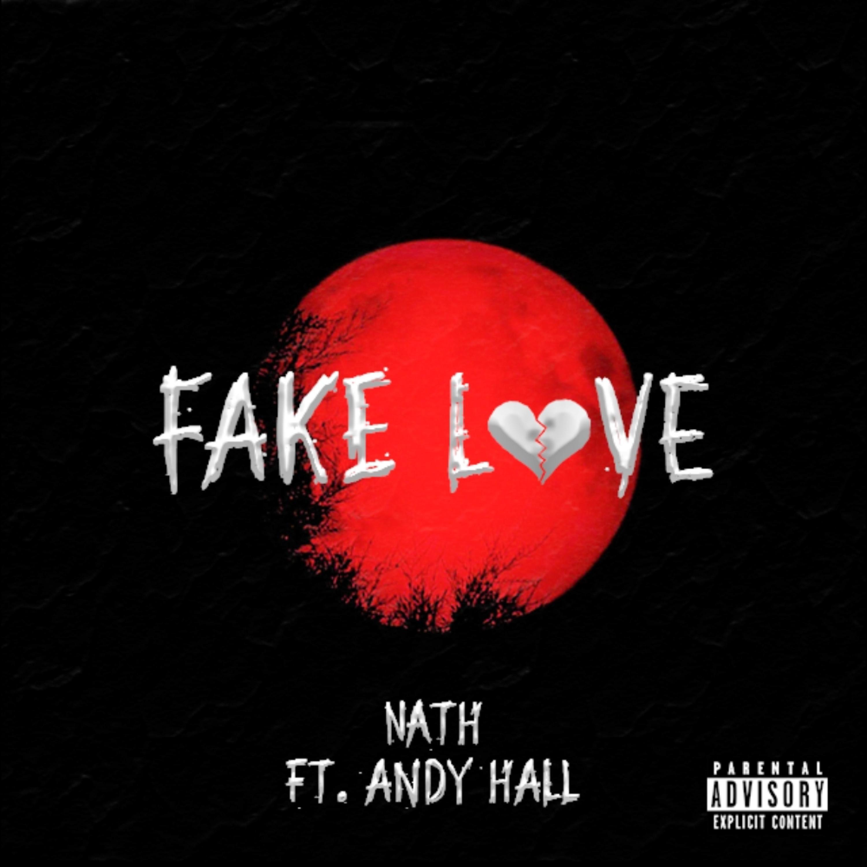 Fake Love (feat. Andy Hall)
