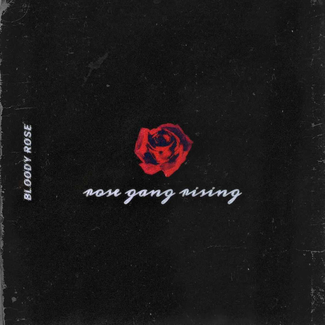 Rose Gang Mixtape（pt1）
