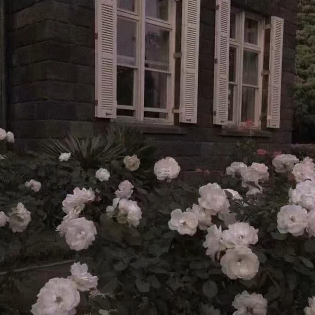 我 希 望 我 是 你 的 唯 一