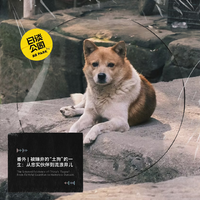 [DJ节目]日谈公园的DJ节目 第718期