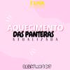Selminho DJ - Aquecimento das Panteras - Atualizada (Funk Eterno)