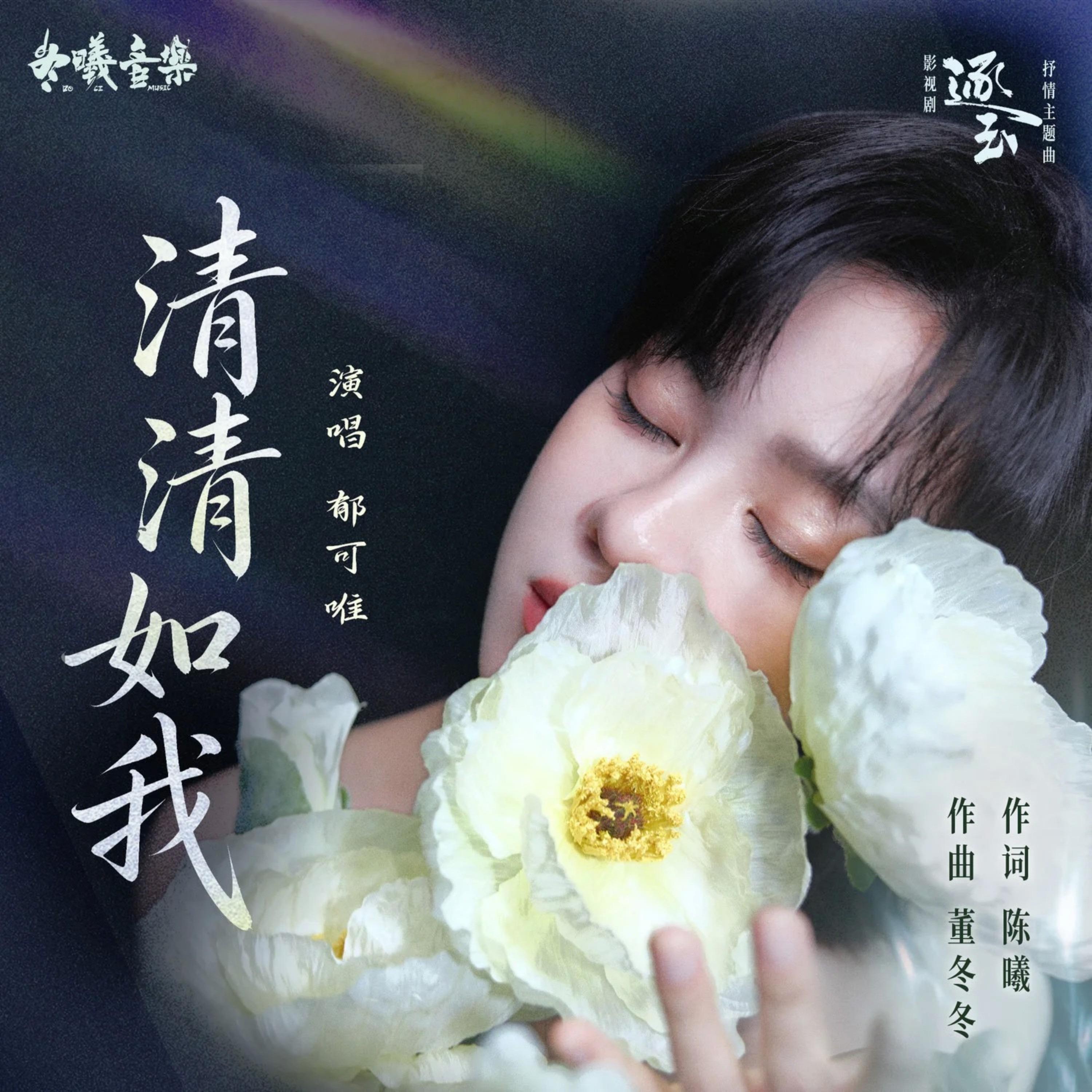 清清如我《逐玉》电视剧