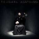 TSUGARU专辑