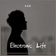 Electronic Life (Original Mix)