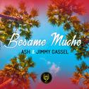 Besame Mucho (Moombahton Summer Mix)专辑