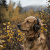 Dreamy Dog - Excited Paws Music