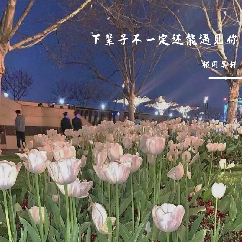 下辈子不一定还能遇见你