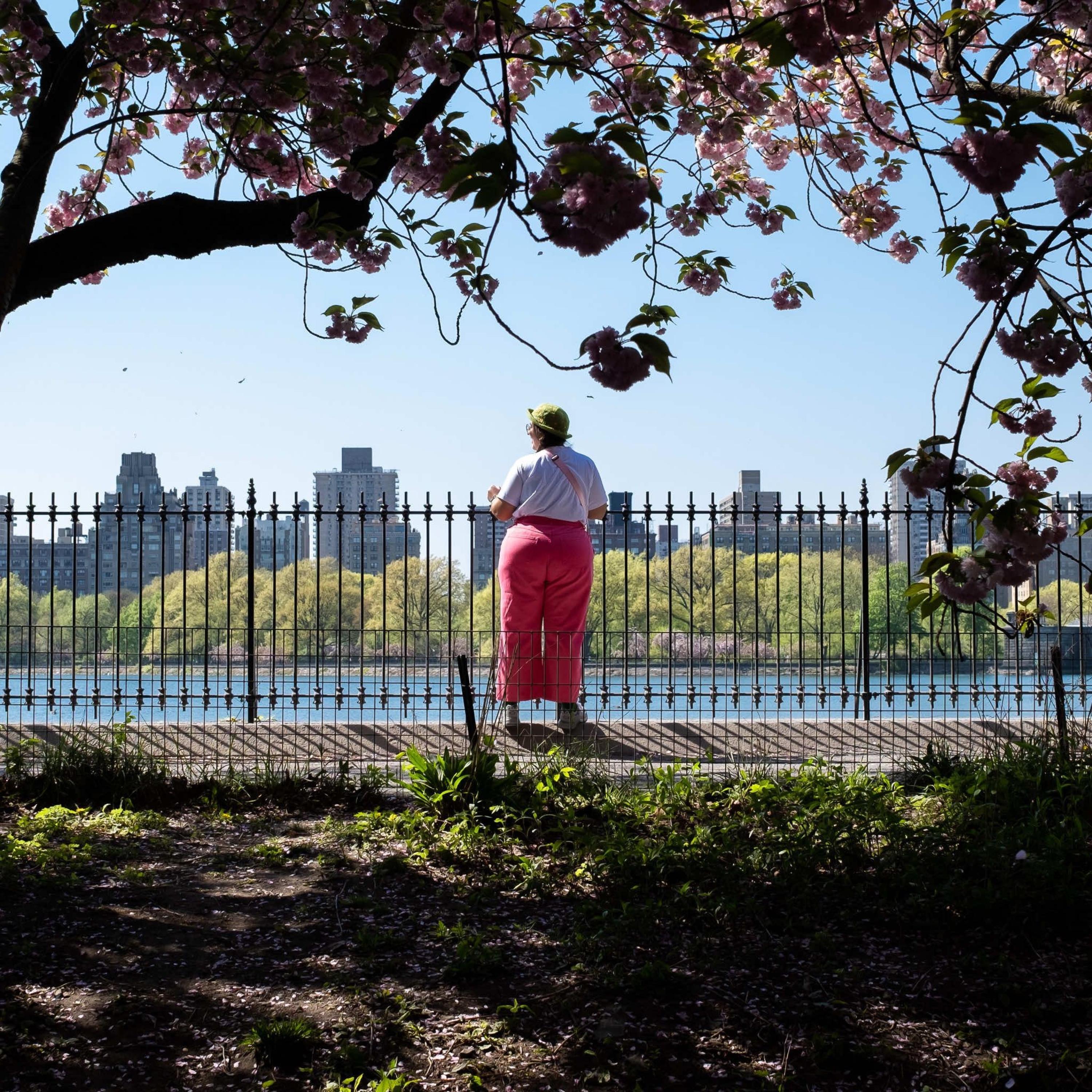 Rave All Night (feat. Tianshi Suo & Montel Moore)