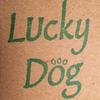 Lucky Dog - Blonde Attitude