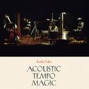 Acoustic Tempo Magic专辑